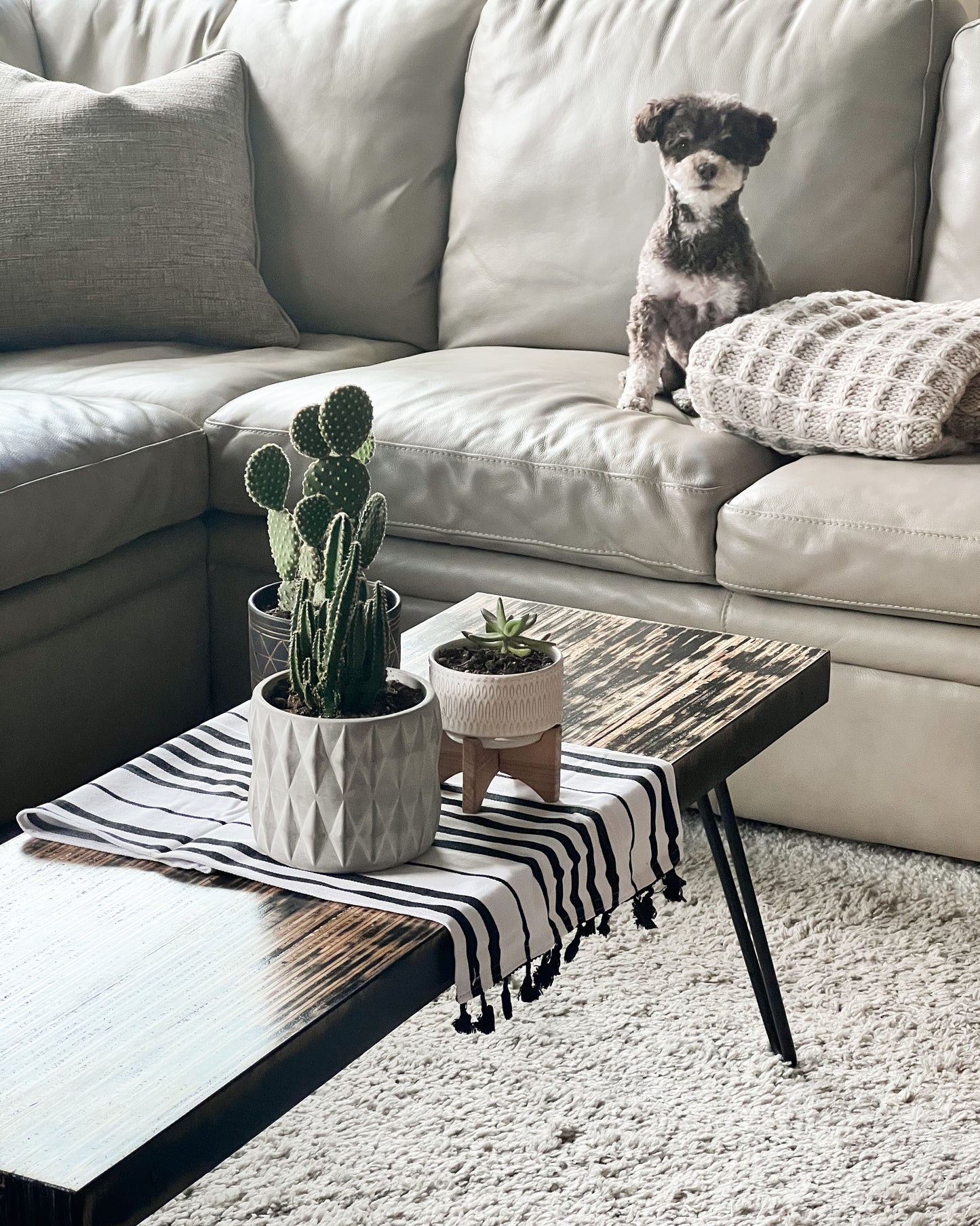 Modern Retro Distressed Coffee Table, Recycled Materials LOCAL PICKUP ONLY