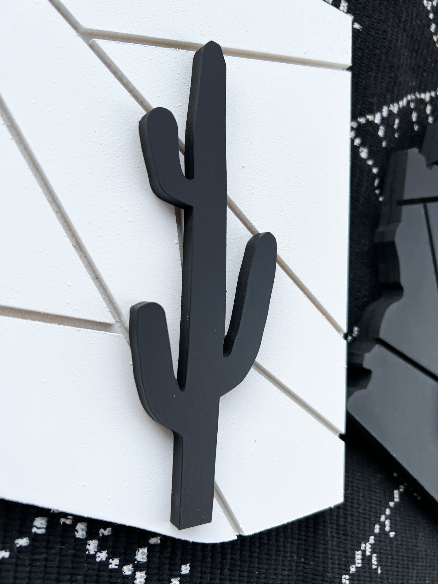 Geometric Arizona Cactus 3D Art
