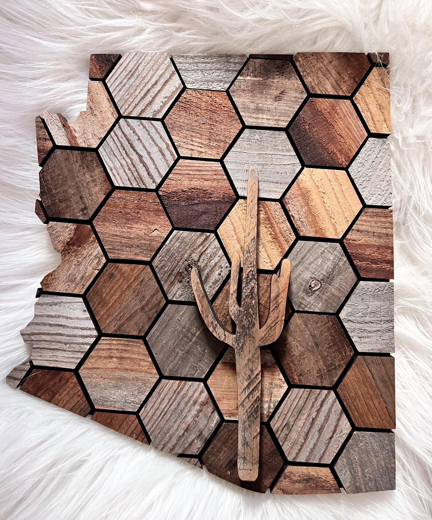 Hexagon Barn Wood Arizona with Cactus