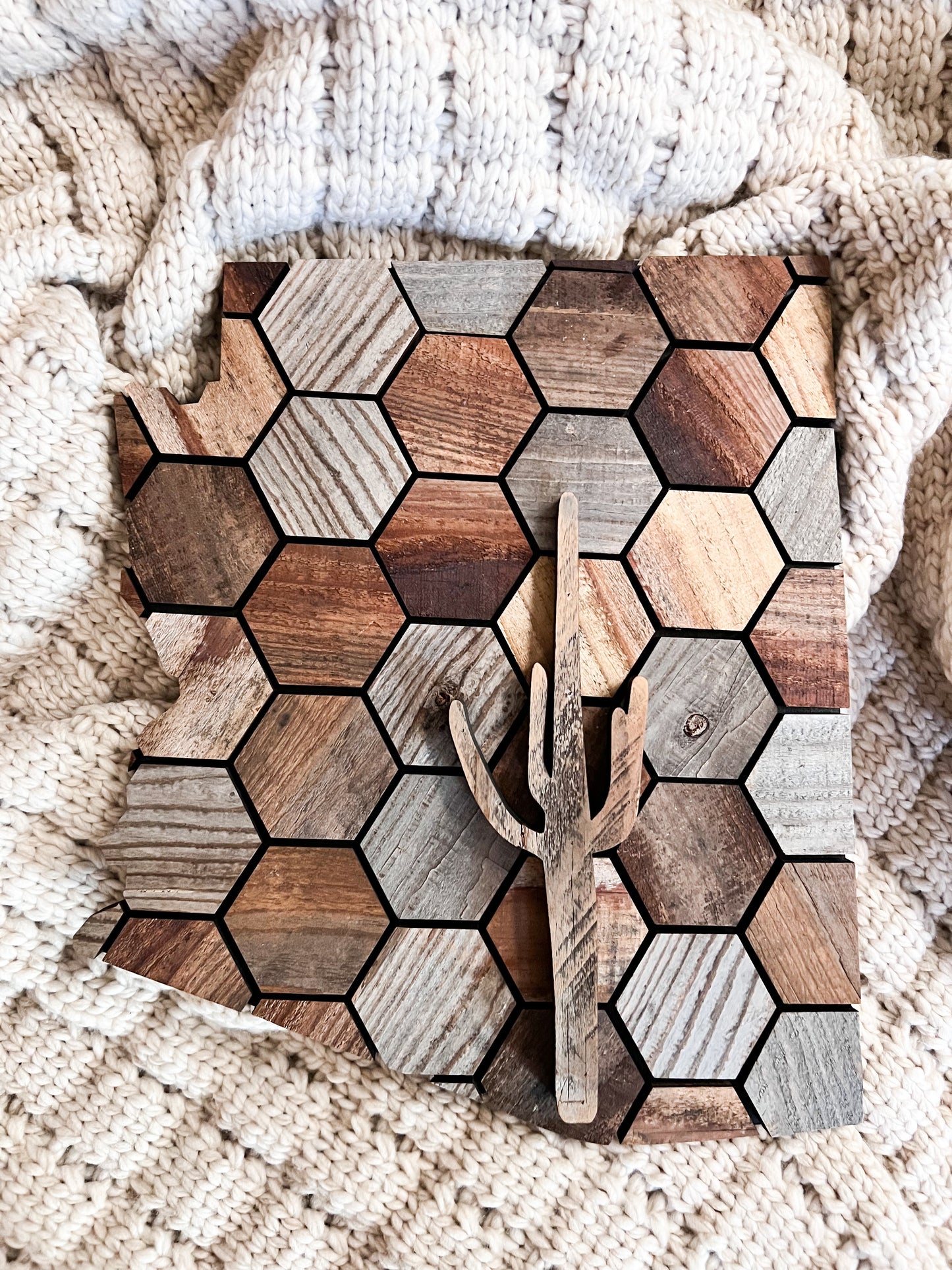 Hexagon Barn Wood Arizona with Cactus